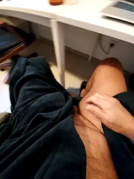 hpp66 online show from 26, 11, 2025