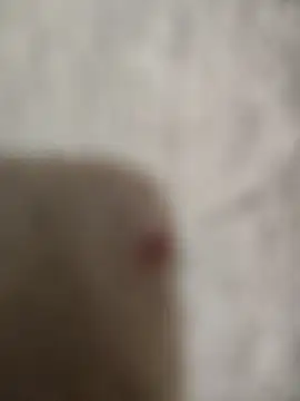 Snapshot of sert_erkekk chatting on 13, 1, 2026 sert erkekk online show from 13, 1, 2026