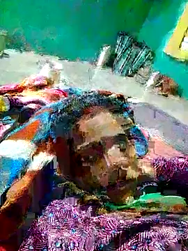 H seema online show from 8, 2, 2026