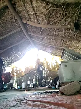 LUCKY cut online show from 11, 9, 2025