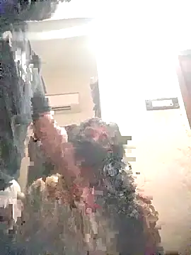 nishatelugu1 online show from 21, 9, 2025