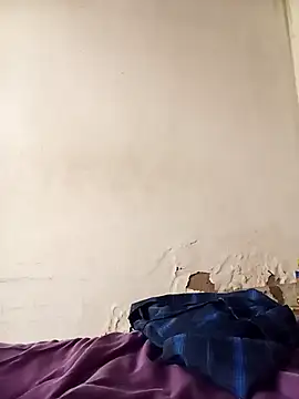 average price online show from 3, 12, 2025