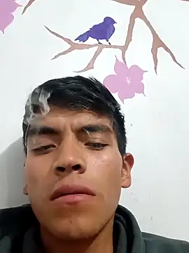 Snapshot of DavidVergagigante420 chatting on 12, 9, 2025 DavidVergagigante420 online show from 12, 9, 2025