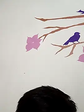 DavidVergagigante420 online show from 22, 11, 2025