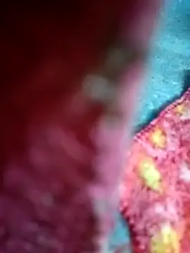 Snapshot of Sharmili_xx chatting on 25, 9, 2025 Sharmili xx online show from 25, 9, 2025