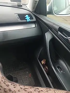 MiriandZacki online show from 21, 12, 2025