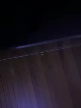 XBODTRIIPX online show from 7, 4, 2026