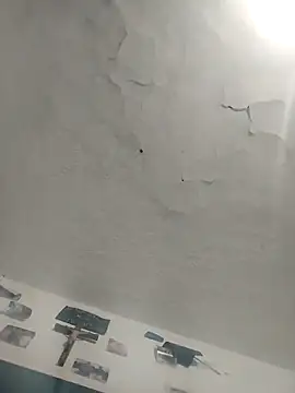 Snapshot of Ferxxxo1503 chatting on 2, 12, 2025 Ferxxxo1503 online show from 2, 12, 2025