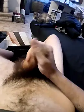 costadavi13 online show from 24, 11, 2025