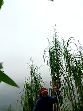 kemtuoi-sex online show from 1, 4, 2026