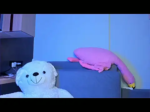 tokipokki online show from 13, 1, 2026