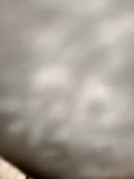 Chanderi19 online show from 24, 11, 2025