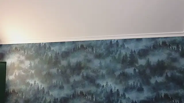 MarkShot  online show from 11, 11, 2025