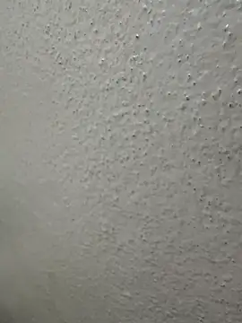 Snapshot of Wild-Nayra chatting on 4, 10, 2025 Wild-Nayra online show from 4, 10, 2025