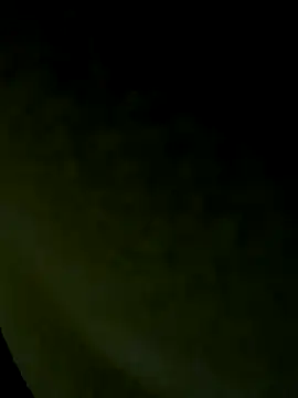 Snapshot of Wild-Nayra chatting on 19, 10, 2025 Wild-Nayra online show from 19, 10, 2025