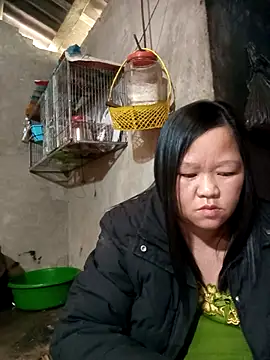 riso-00 online show from 9, 1, 2026