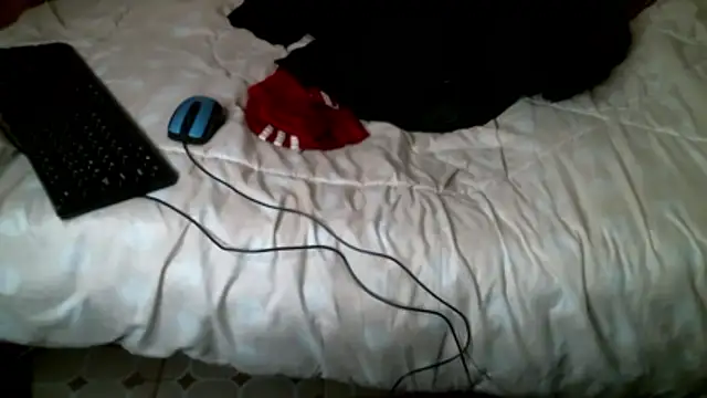 shleybabe online show from 18, 11, 2025