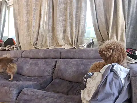 Snapshot of Alexis21821 chatting on 3, 12, 2025 Alexis21821 online show from 3, 12, 2025