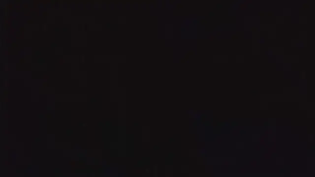 SienaWild online show from 22, 12, 2025