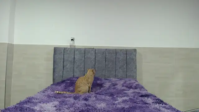  ruby red online show from 20, 11, 2025