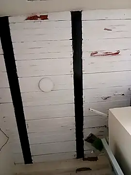 zamir adam online show from 27, 10, 2025