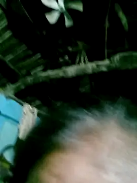 Snapshot of Hot_eras68484 chatting on 21, 10, 2025 Hot eras68484 online show from 21, 10, 2025