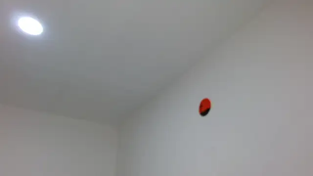 jaico santos online show from 16, 2, 2026