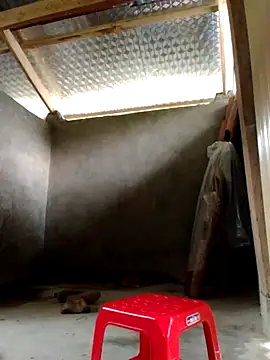 Snapshot of donna-bae chatting on 3, 10, 2025 donna-bae online show from 3, 10, 2025