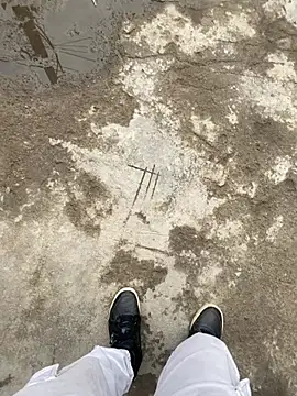 swami ji online show from 19, 3, 2026