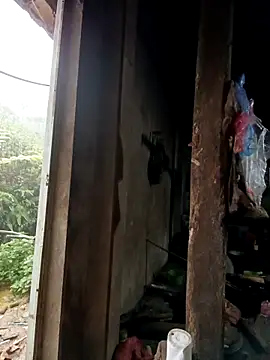 tulipsexy online show from 16, 10, 2025