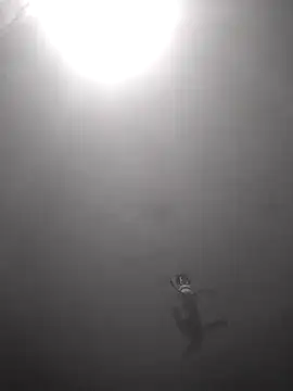 Hott cutgirl online show from 16, 10, 2025