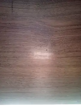 Snapshot of ValeriaLove43211 chatting on 17, 12, 2025 ValeriaLove43211 online show from 17, 12, 2025