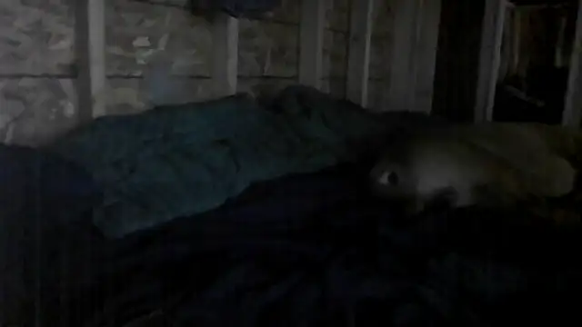 Snapshot of stuandangie28129r chatting on 9, 7, 2026 stuandangie28129r online show from 9, 7, 2026