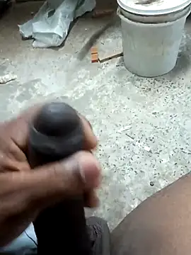 Snapshot of preto3561 chatting on 4, 3, 2026 preto3561 online show from 4, 3, 2026