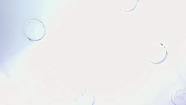  isa king  online show from 13, 11, 2025