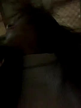 Halyy xx online show from 8, 11, 2025