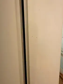 hhhajjib online show from 17, 11, 2025