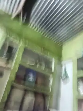 Haliya88 online show from 11, 11, 2025