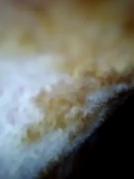 alone boy802 online show from 30, 10, 2025