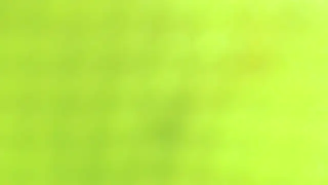 AnySugar online show from 23, 9, 2025