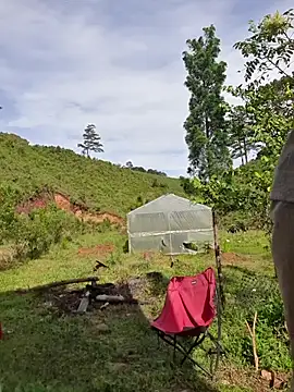 Helen-Tran online show from 24, 10, 2025