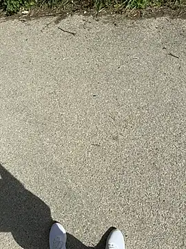 Italianofirenze online show from 15, 4, 2026