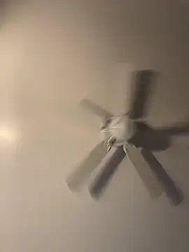 Snapshot of pmonie chatting on 16, 11, 2025 pmonie online show from 16, 11, 2025