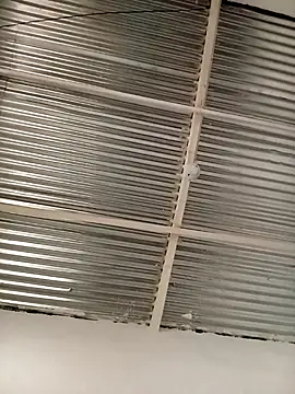 kingbickcockDn online show from 23, 11, 2025