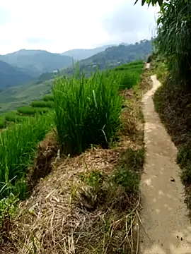 nhinhi-sexy online show from 10, 10, 2025