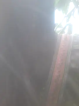 bree-zz online show from 10, 11, 2025