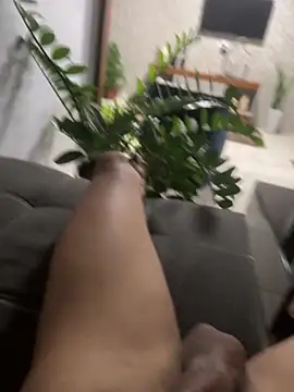 MCLZK online show from 1, 11, 2025