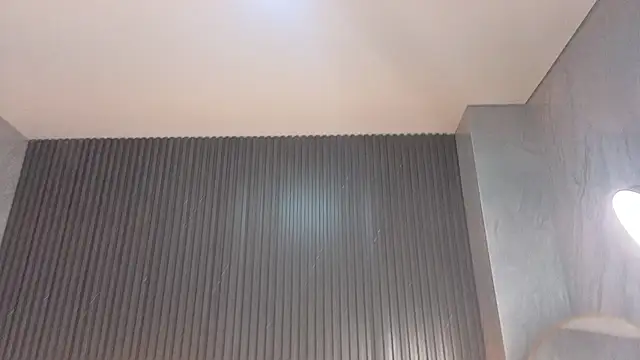 Snapshot of Terry_tx chatting on 2, 12, 2025 Terry tx online show from 2, 12, 2025