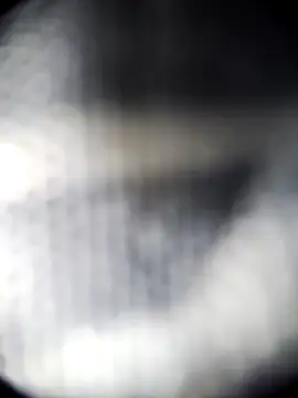 Blanquitakchera online show from 21, 12, 2025