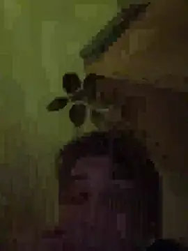 Snapshot of UnitedMap1 chatting on 26, 11, 2025 UnitedMap1 online show from 26, 11, 2025